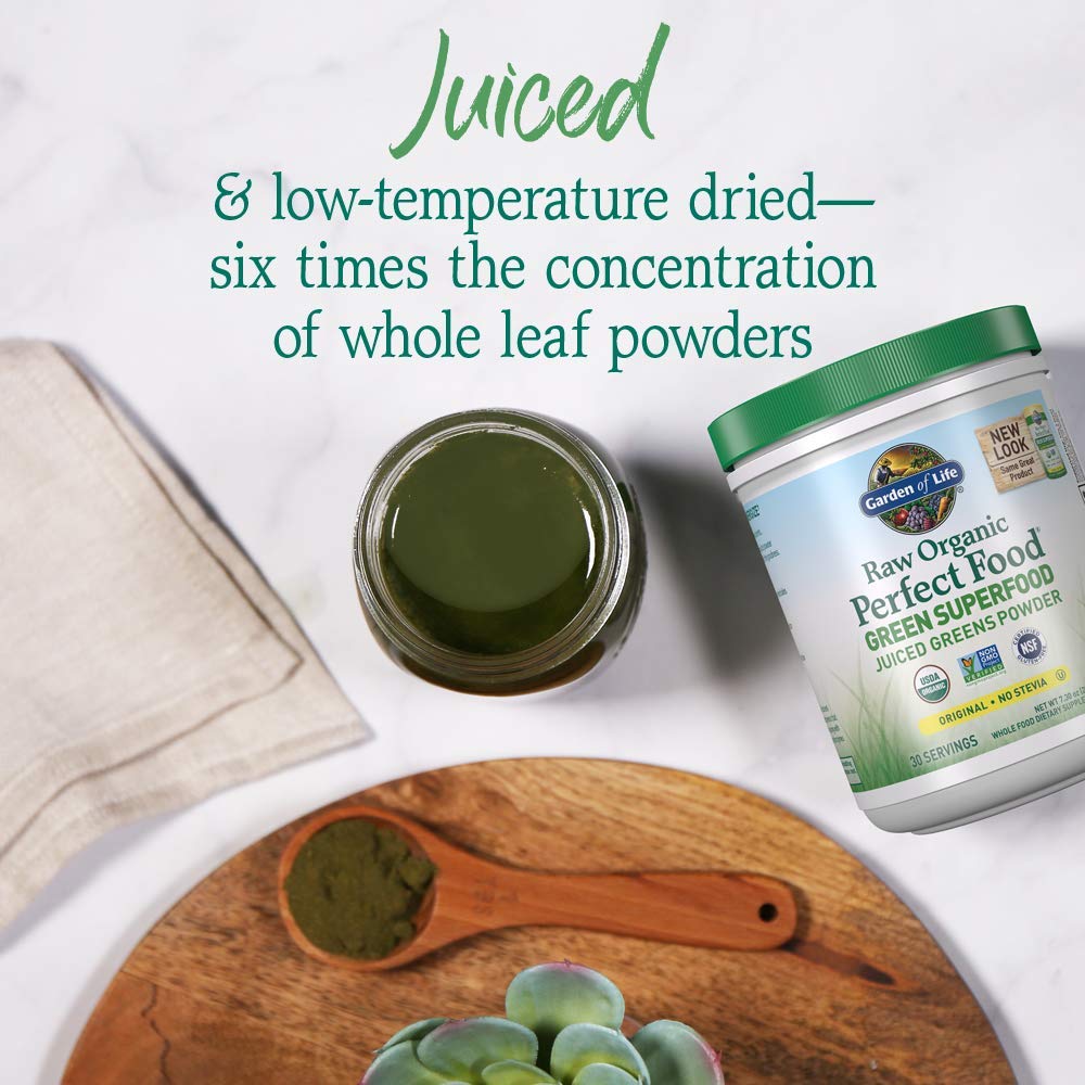 Garden of Life RAW Organic Perfect Food Juiced Greens Powder, 7.3 oz