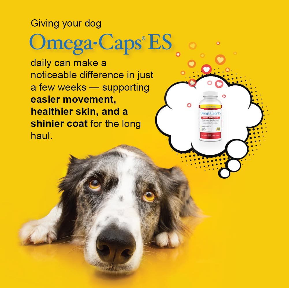 Pet Health Solutions Omega-Caps ES for Large & Giant Dogs 1 Capsule