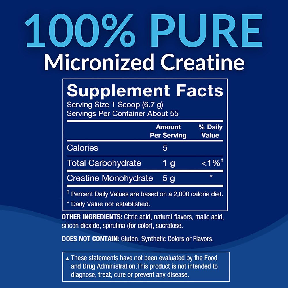 BodyTech Creatine Monohydrate Powder, 13 oz