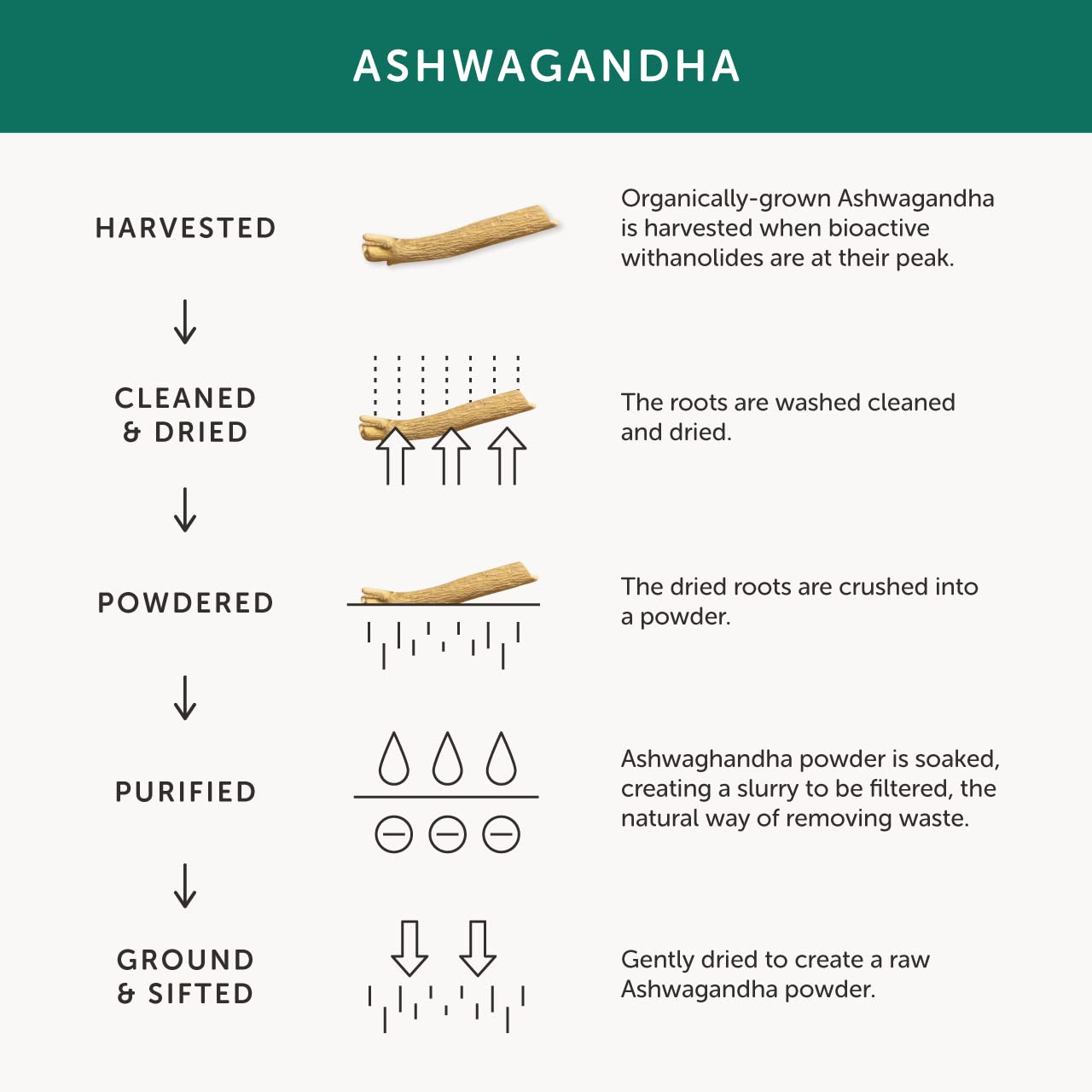 Together Organic Whole Herb Ashwagandha Capsule 30 Count