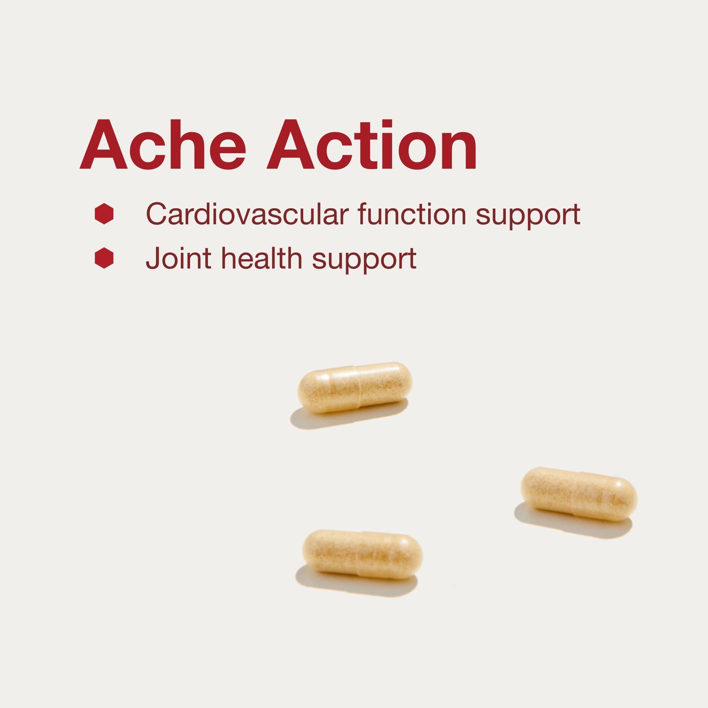 Protocol for Life Balance Ache Action - Joint Supplement for Women & Men Capsule 120