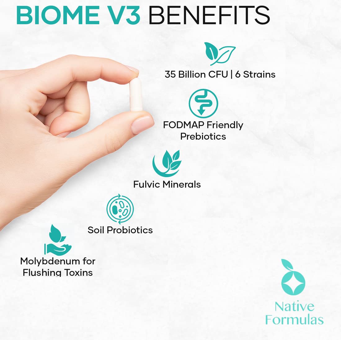 Native Formulas Biome V3 Probiotic, Prebiotic, & Fulvic Minerals Supplements 60 Vegan Capsules - 35 Billion CFU, 6 Strains, FODMAP Friendly, Supports Digestive, Immune & Gut Health