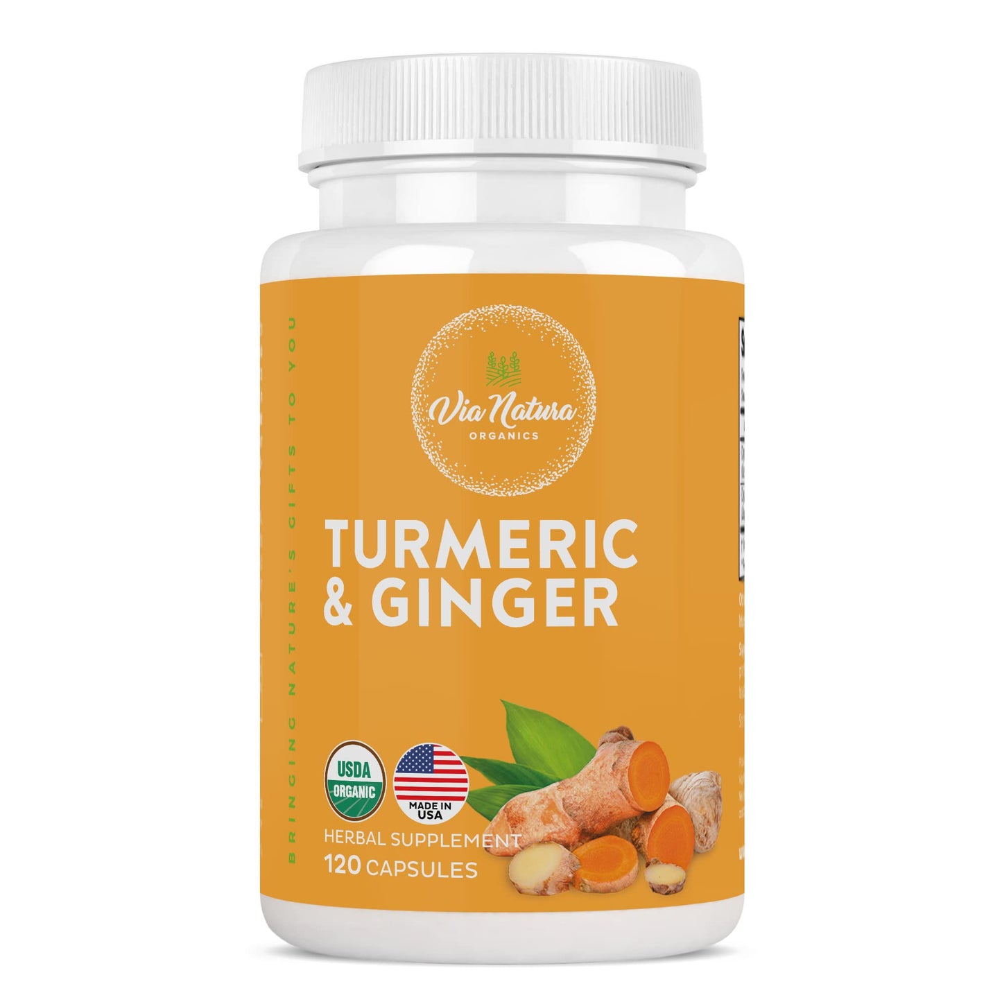 Via Natura Organics Turmeric & Ginger 1000mg Capsules, 120 Count