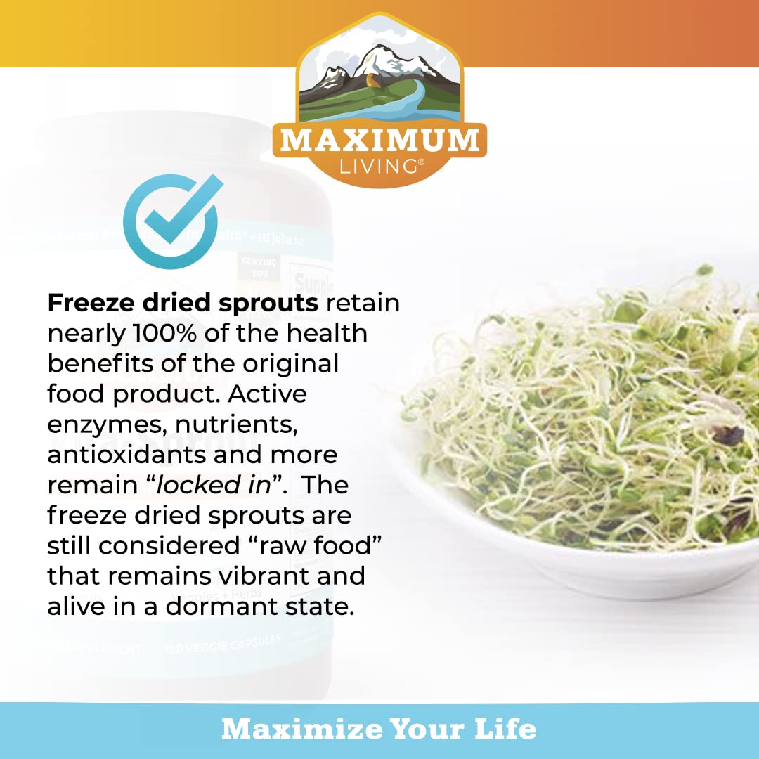 Maximum Living Vita-Sprout Whole-Food Multivitamin & Phytonutrient Blend 120 Capsules