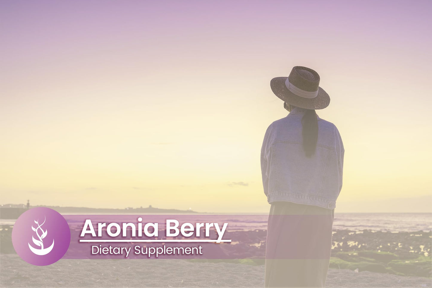 PURE ORIGINAL INGREDIENTS Aronia Berry Chokeberry Extract Capsules, 100 Count