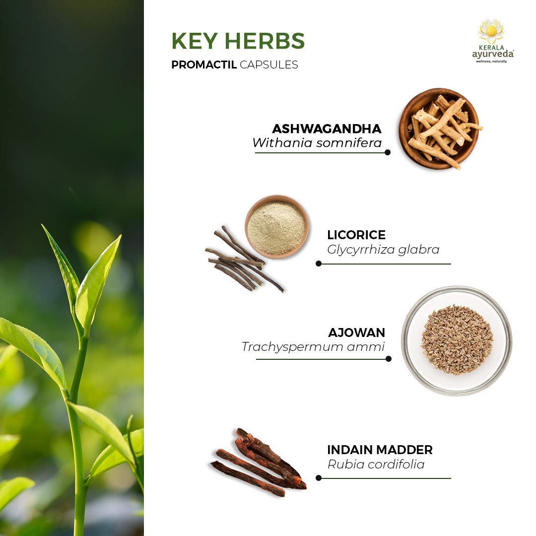Kerala Ayurveda Promactil Herbal Capsules for Improved Performance, Potency, & Energy, 60 Capsules