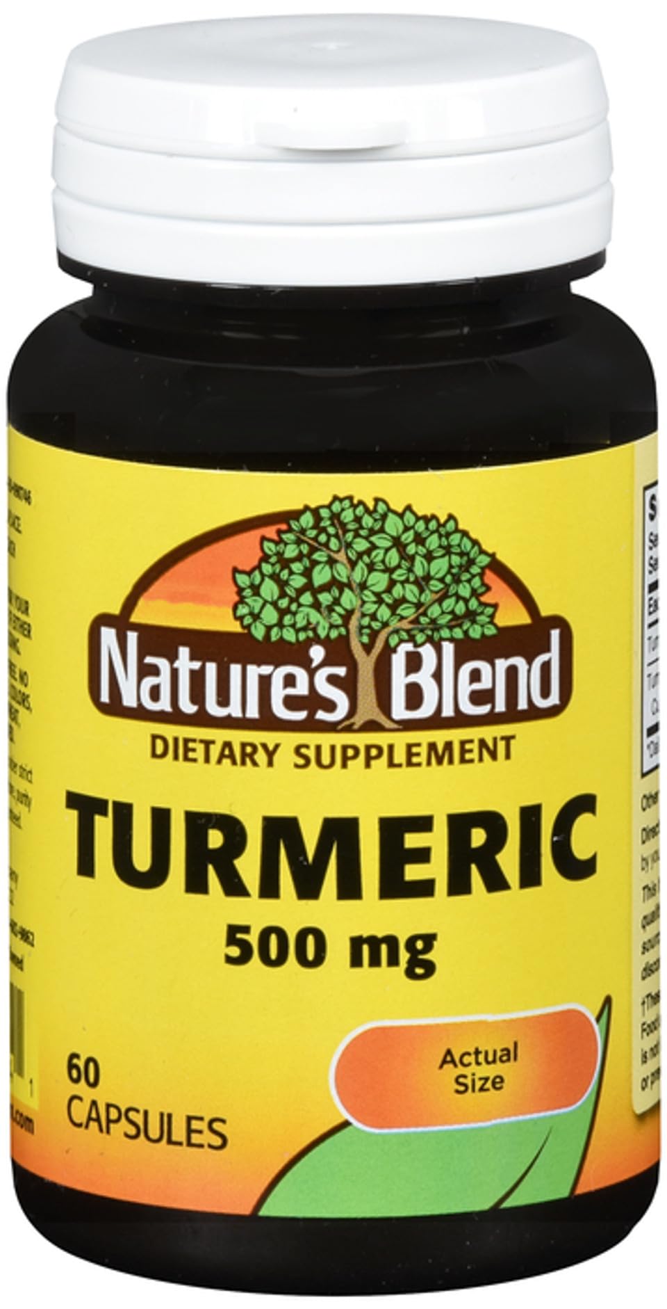Xllent Nature's Blend Turmeric 500mg Capsules, 2 Count