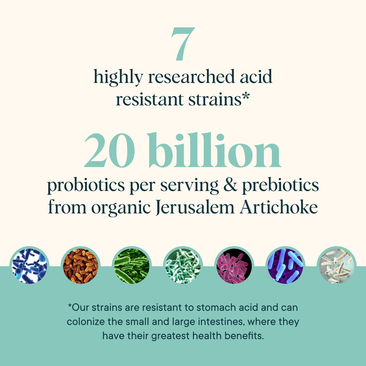 Ora Organic Prebiotic and Probiotic Powder Supplement, 7.9 oz