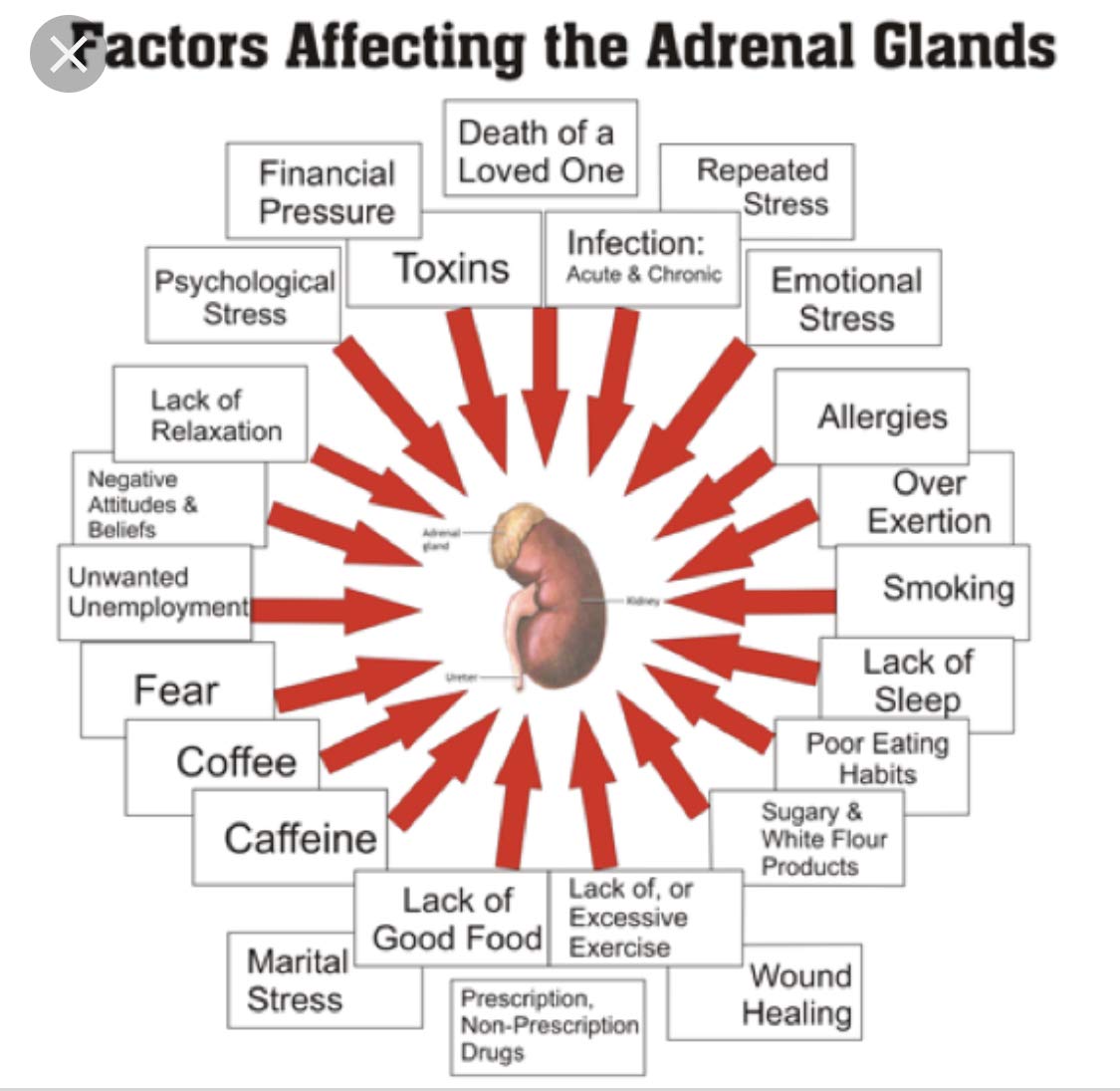 The One Minute Miracle Adrenal Essence Capsule 1 Count