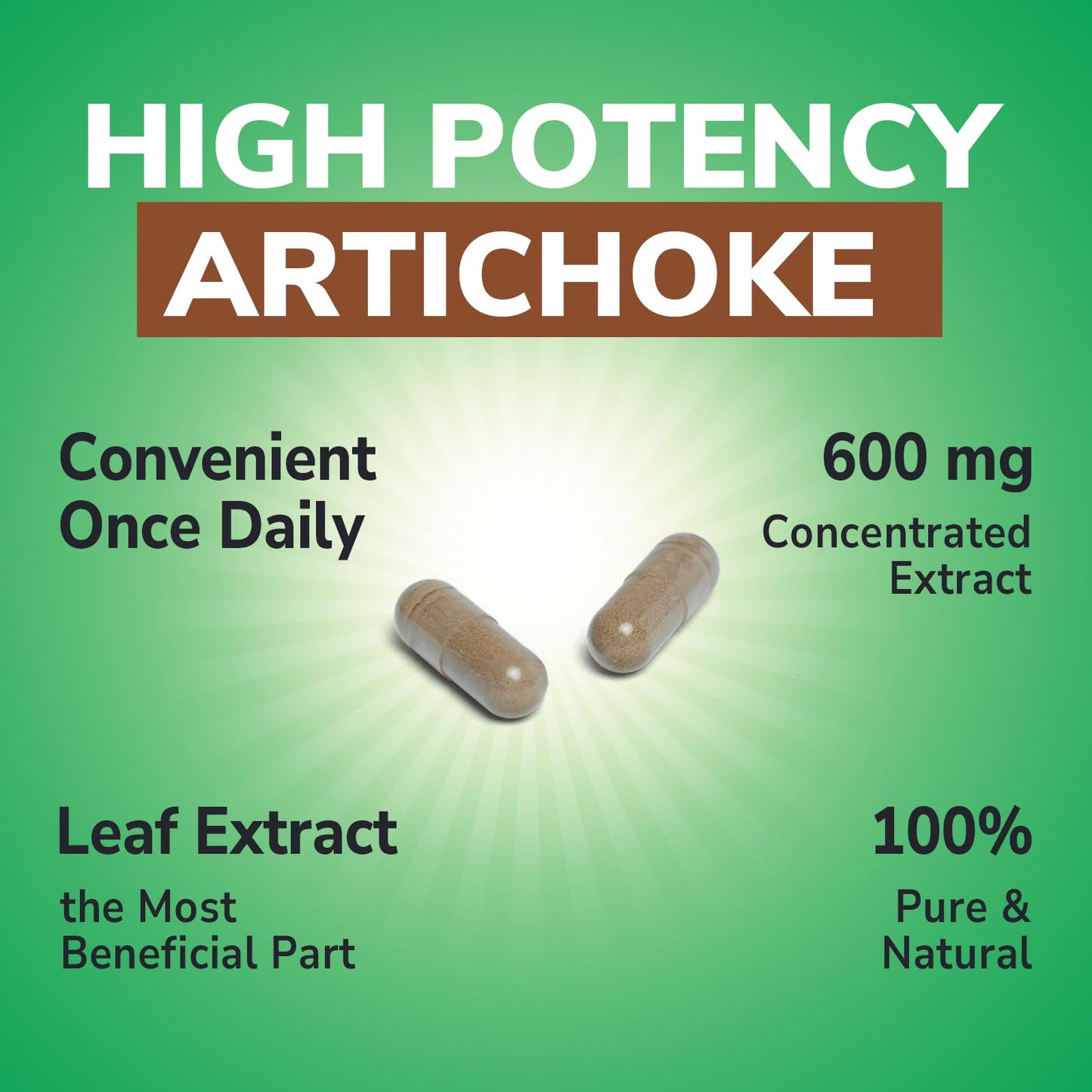 Vitalibre Artichoke Leaf Extract 600 mg Capsule, 90 Count