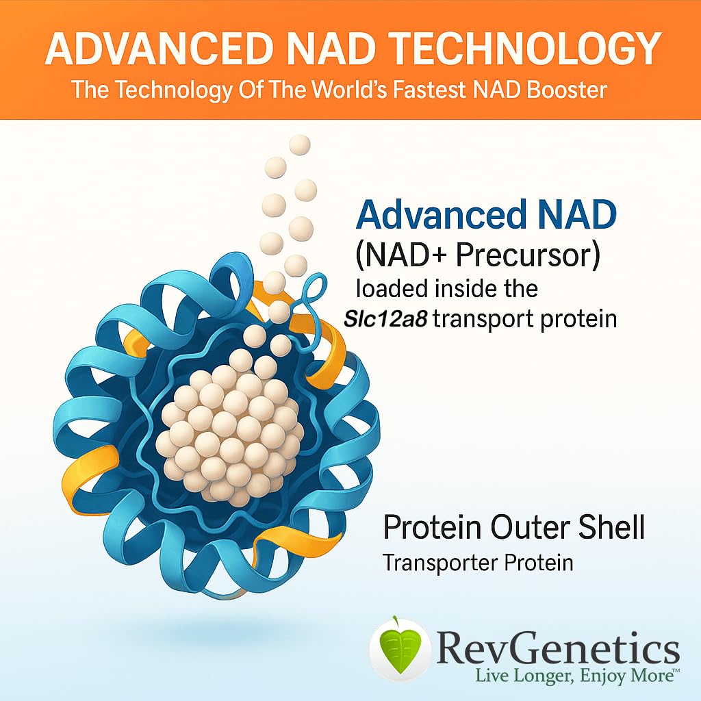 REVGENETICS Advanced NAD Powder Vitamin B3 (NAD), Dietary Supplement, 147 Servings, 25 Grams