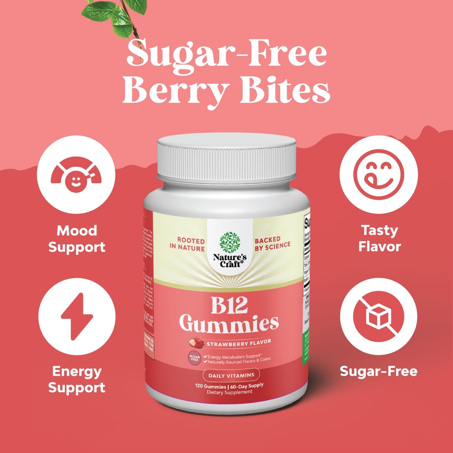 Natures Craft Vitamin B12 Gummies 1000mcg Sugar Free, 120 Count