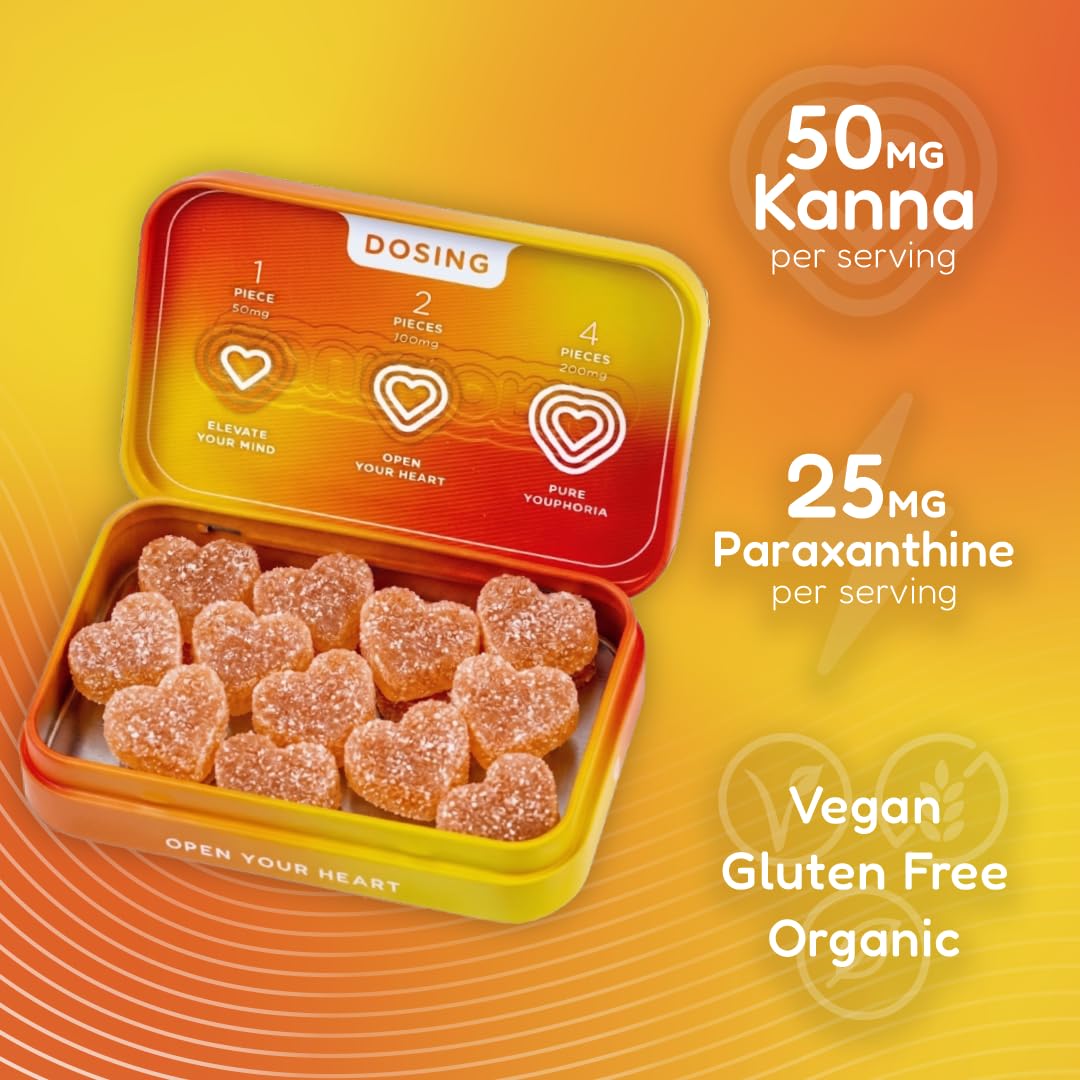 Youphoria Kanna Gummies 600mg Vegan Botanical Supplement for Mood Support, 12 Count