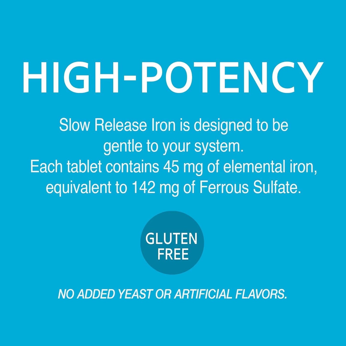 SMART MONKEY TECHNOLOGIES 21st Century Slow Release Iron Tablets 180 Count