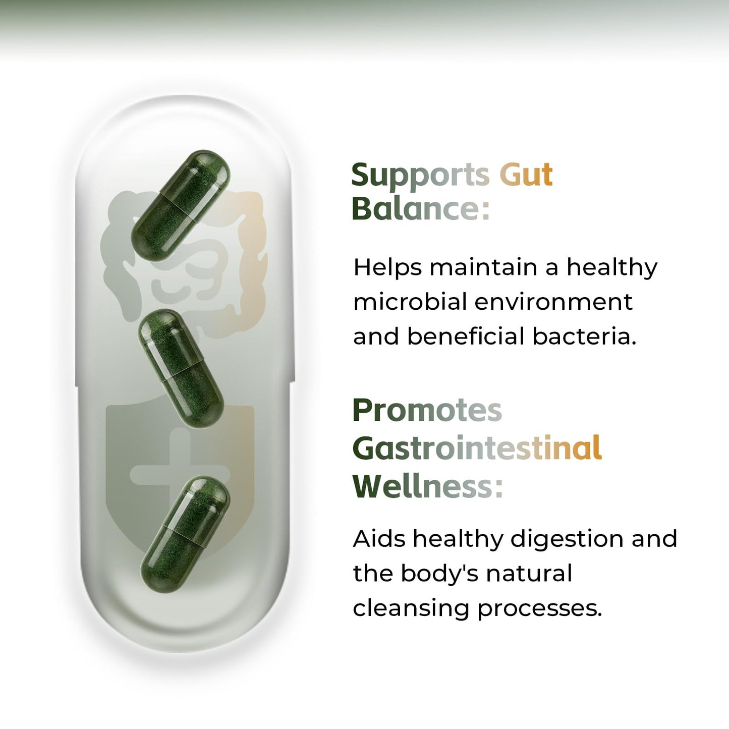 Elyra Gut Health Supplements Capsules 50 + 120