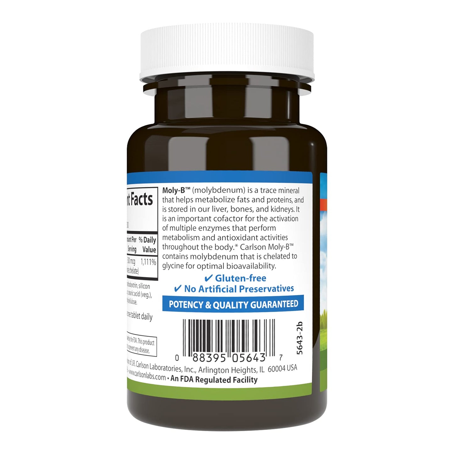 Carlson Moly-B Metabolism Support Tablets 300 Tablets