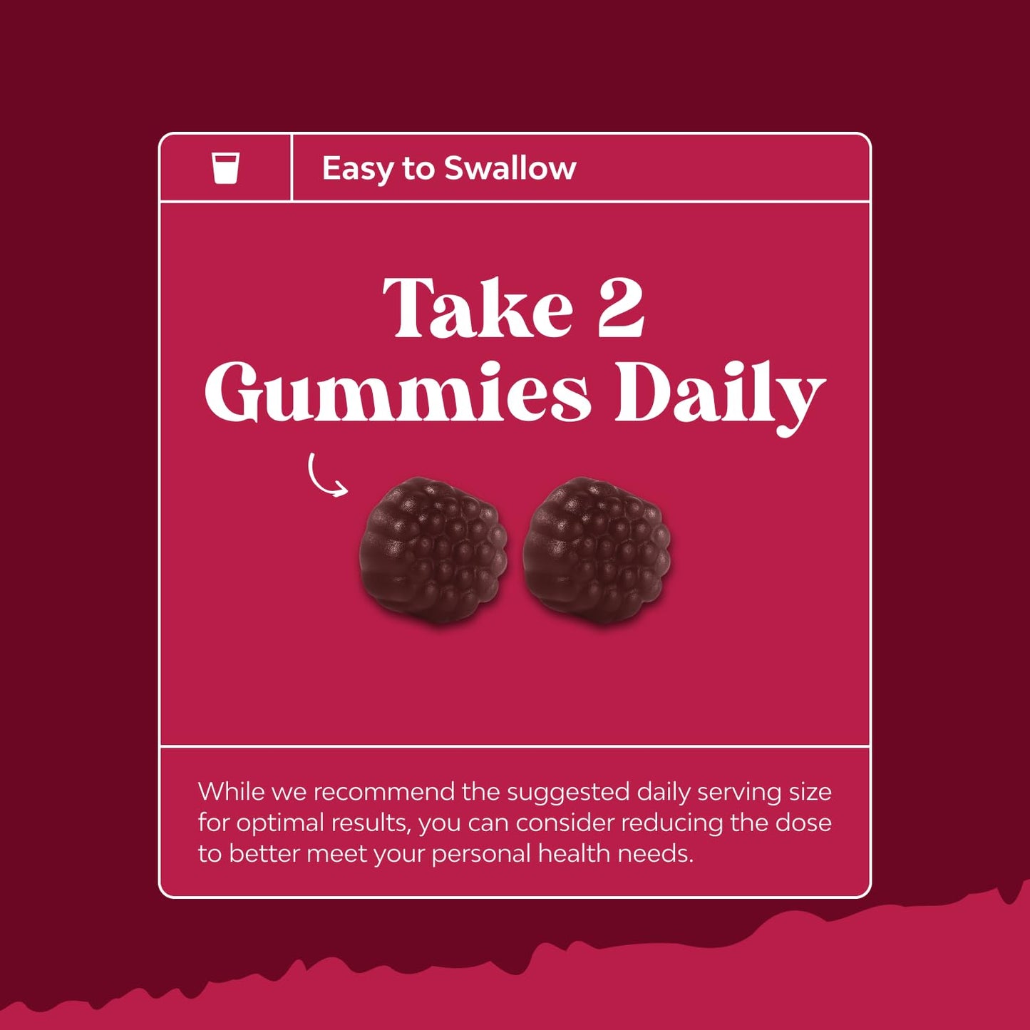 Natures Craft Elderberry Vitamin C and Zinc Gummies 90 Count
