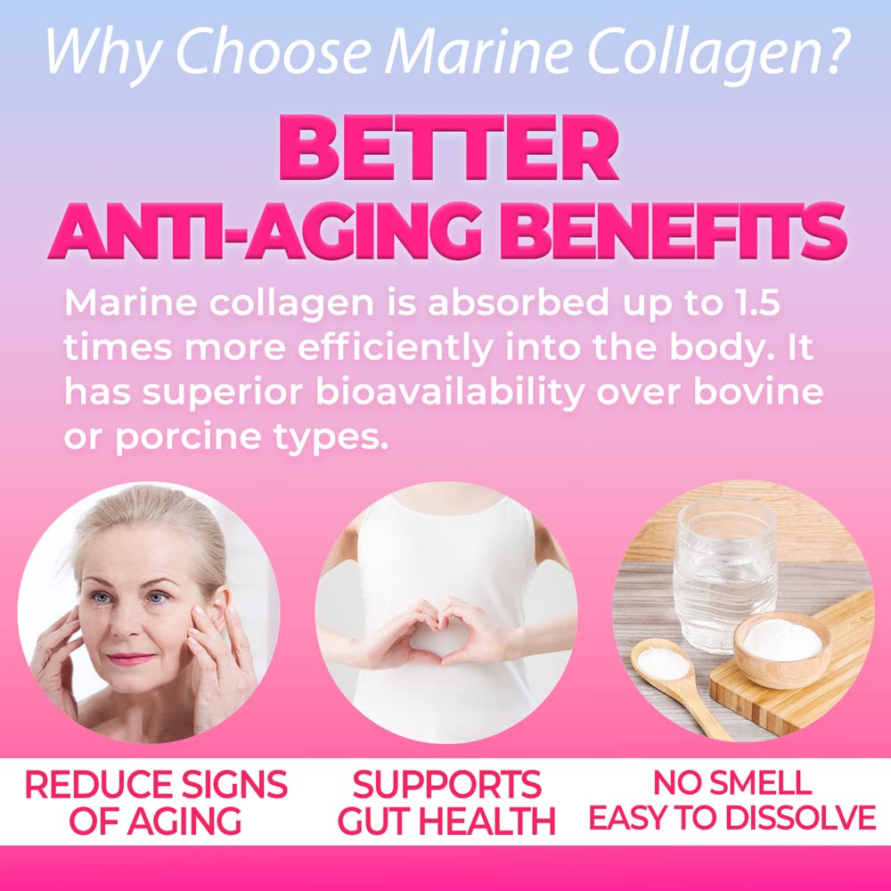 FINE JAPAN Marine Collagen Powder with Hyaluronic Acid, CoQ10 & Elastin, 3-Pack