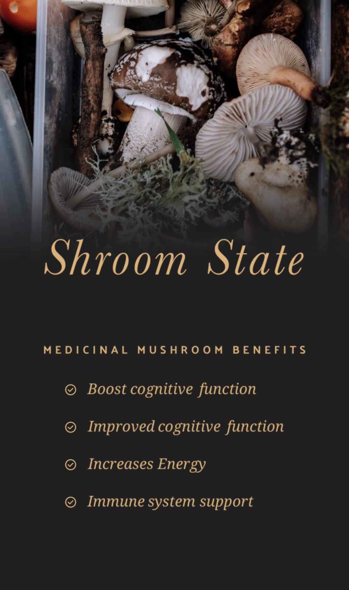 Flowstate Lifestyles Mushroom 10X Shroom State Nootropic Capsule, 60 Count