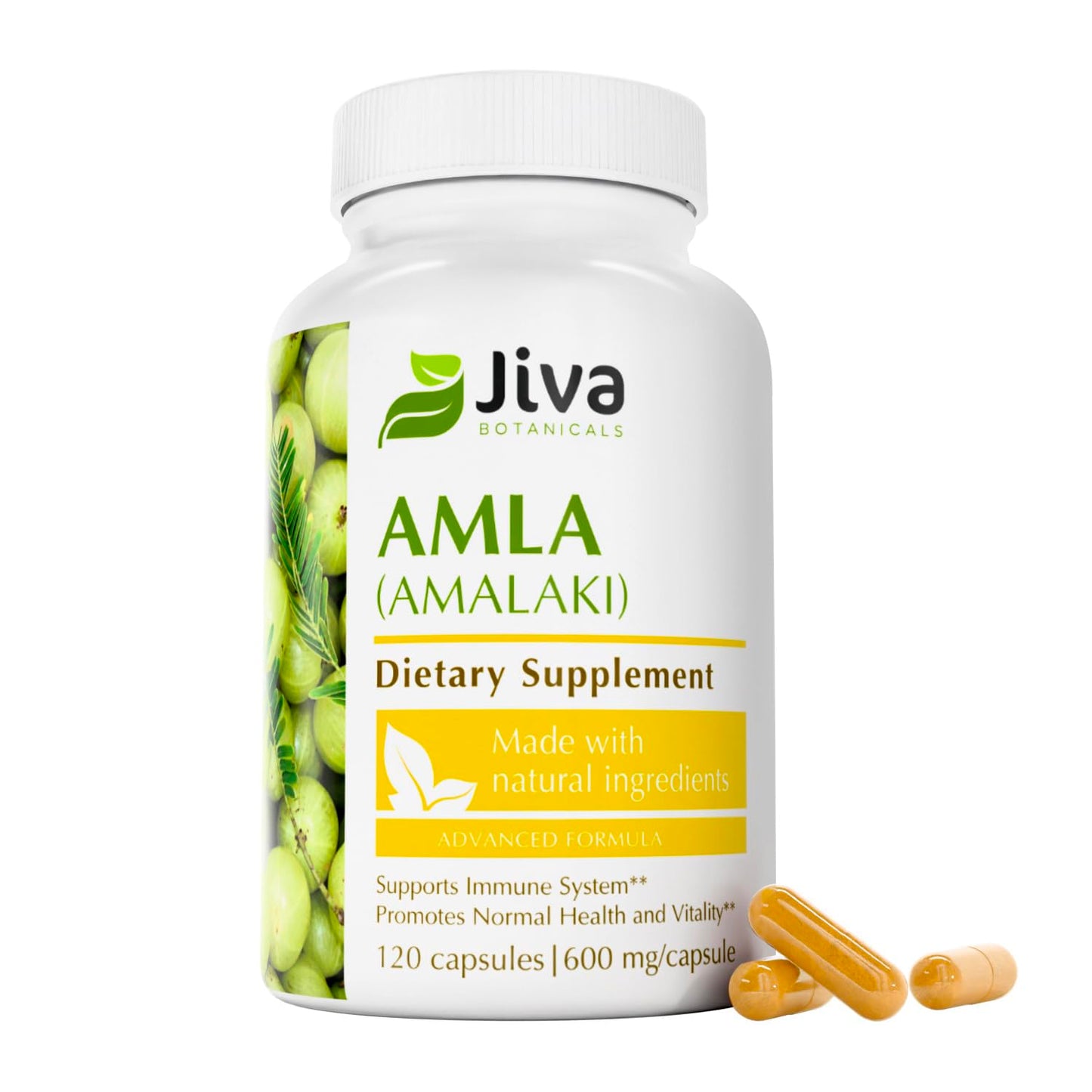 Jiva Botanicals Amla Capsules 120 Capsules