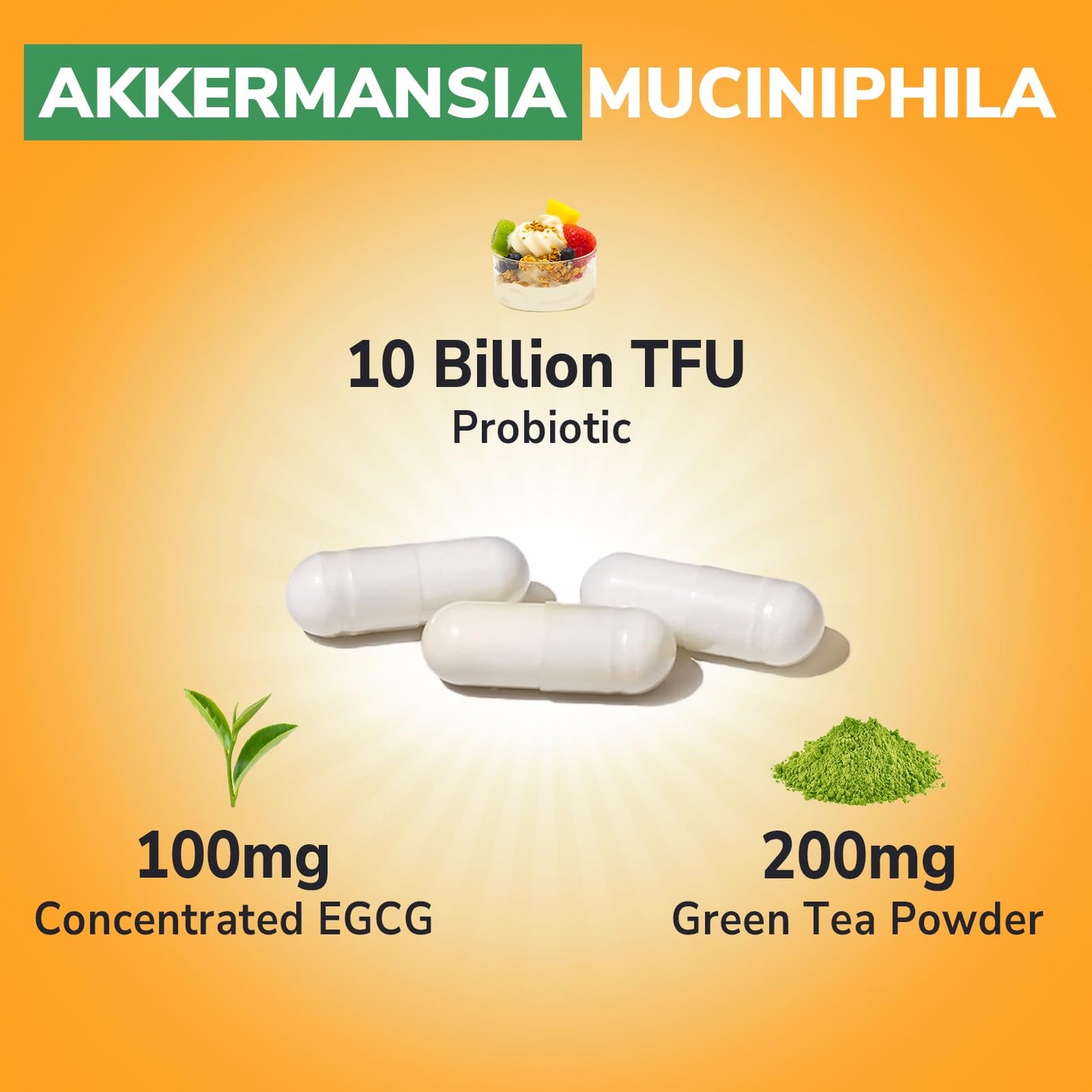Vitalibre Akkermansia Probiotic 10 Billion TFU with Concentrated EGCG from Green Tea Extract, GLP-1 Supplement for Gut Health, Metabolism Support & Sustain Energy Levels, 30 Vegan Capsules