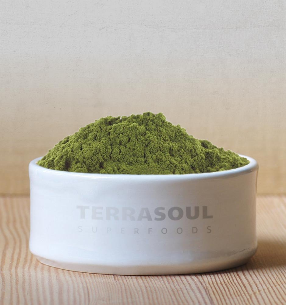 Terrasoul Superfoods Organic Hemp Protein Powder, 32 Servings
