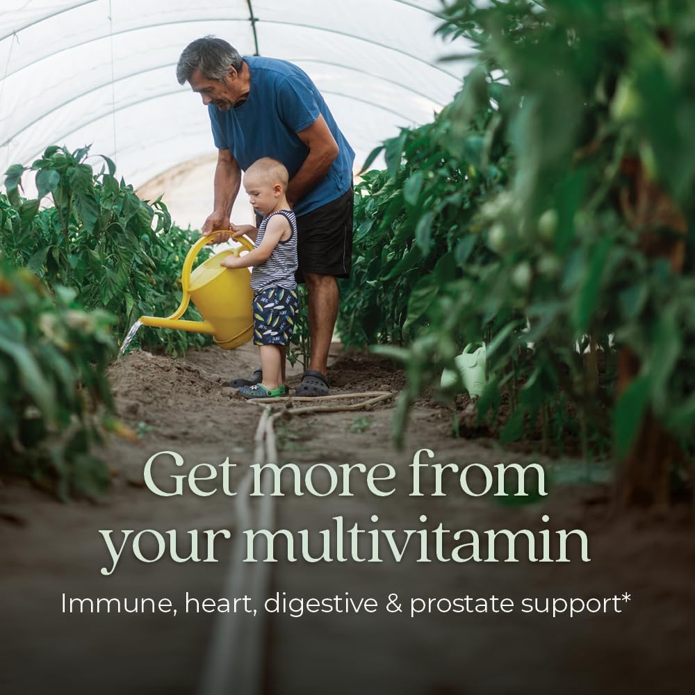 New Chapter Men’s Multivitamin 55+, Extra B6 & B12, D3, Astaxanthin, Vitamin C & Zinc, Immune, Heart, Cellular Energy, and Brain Health, Gentle on The Stomach, 192 Tablets