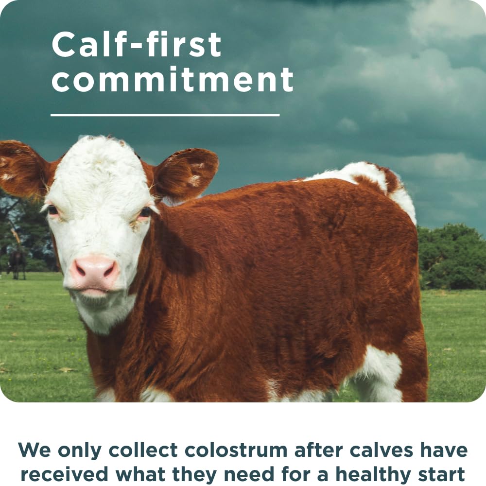 Ancient Nutrition Colostrum Superfood + Collagen Capsule, 75 Count
