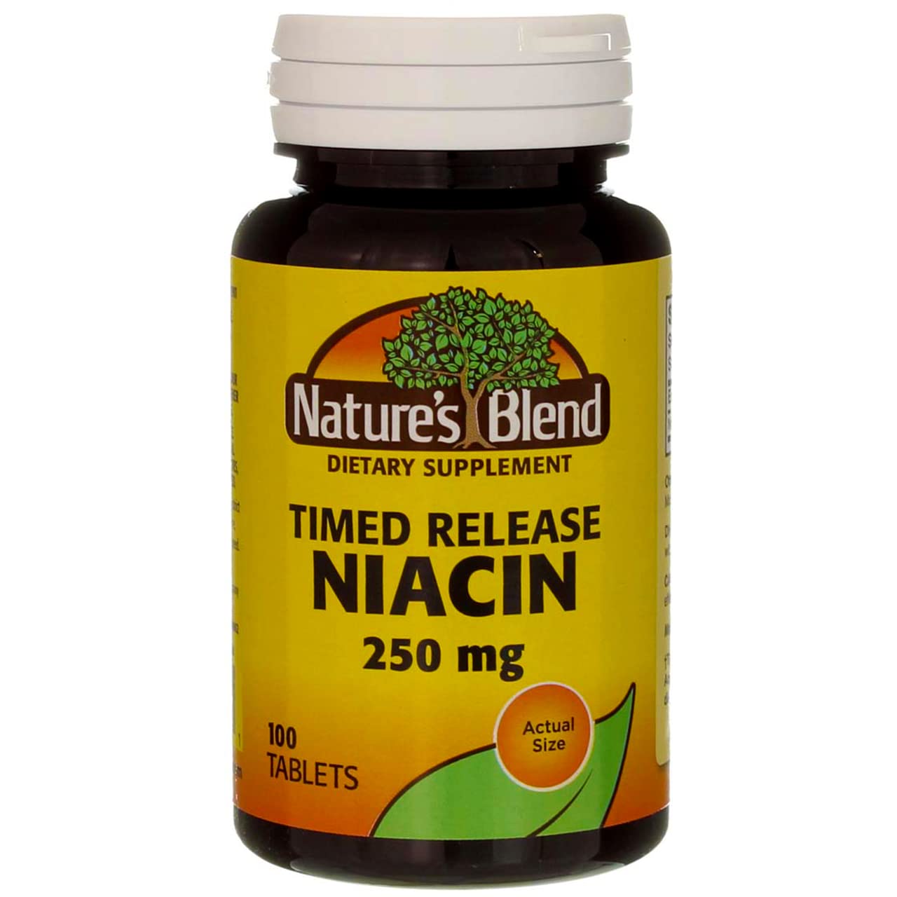 Nature's Blend Niacin Timed Release 250 mg Tablet, 100 Count