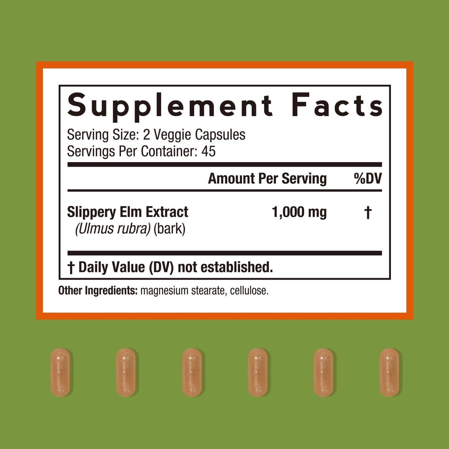 Doctor's Recipes Slippery Elm Bark Capsule 90 Count