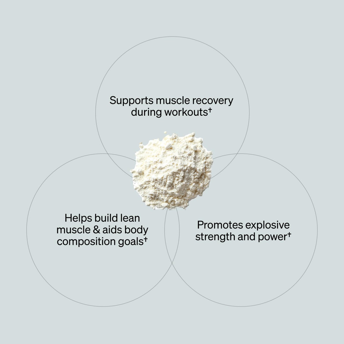 ONNIT Creatine Monohydrate Powder 90 Servings