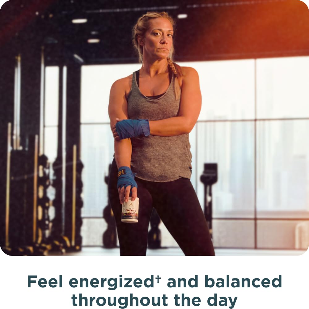 Ancient Nutrition Clean Energy Powder 4.4