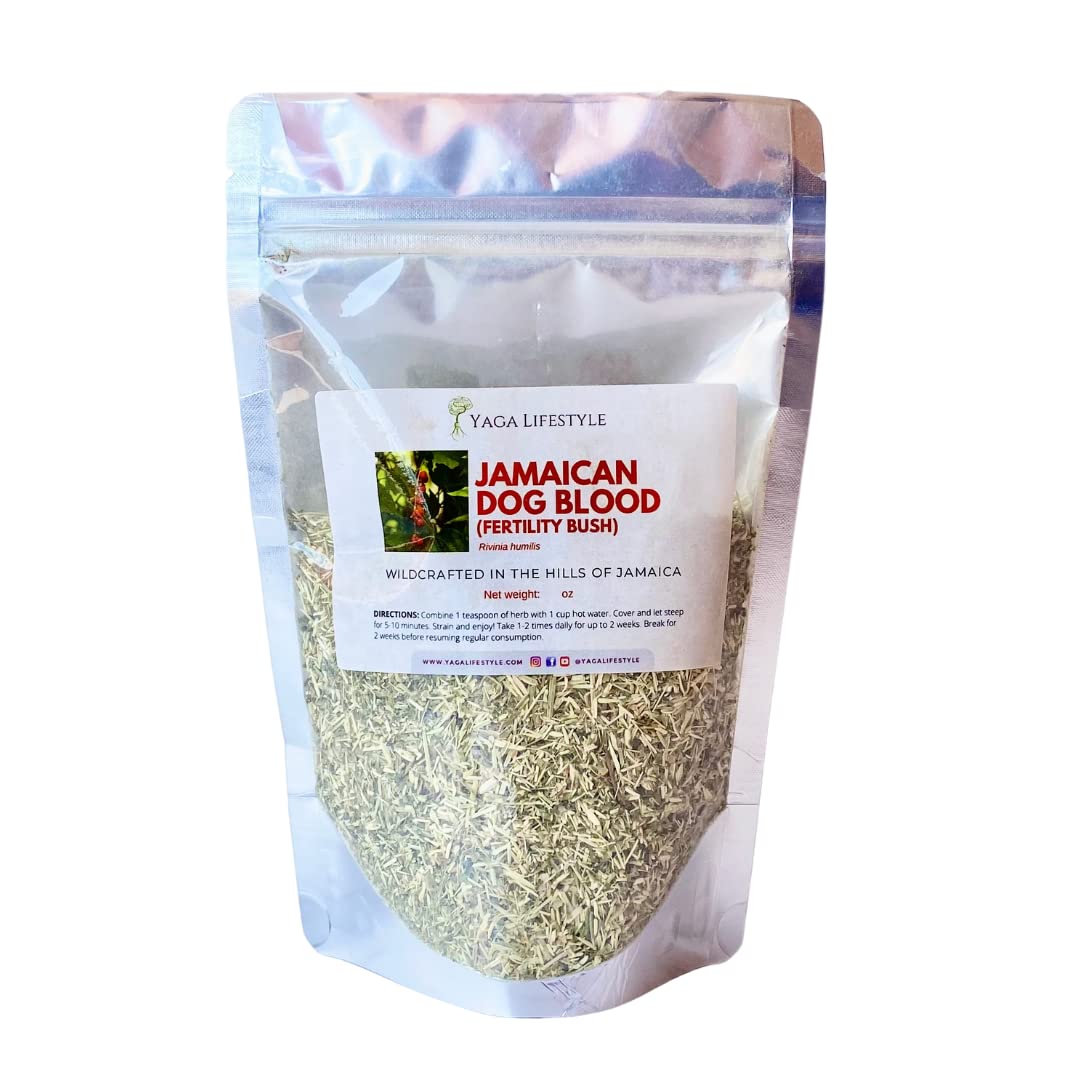 Yaga Lifestyle Jamaican Dog Blood Bush Fertility Herb Coarse Powder 4
