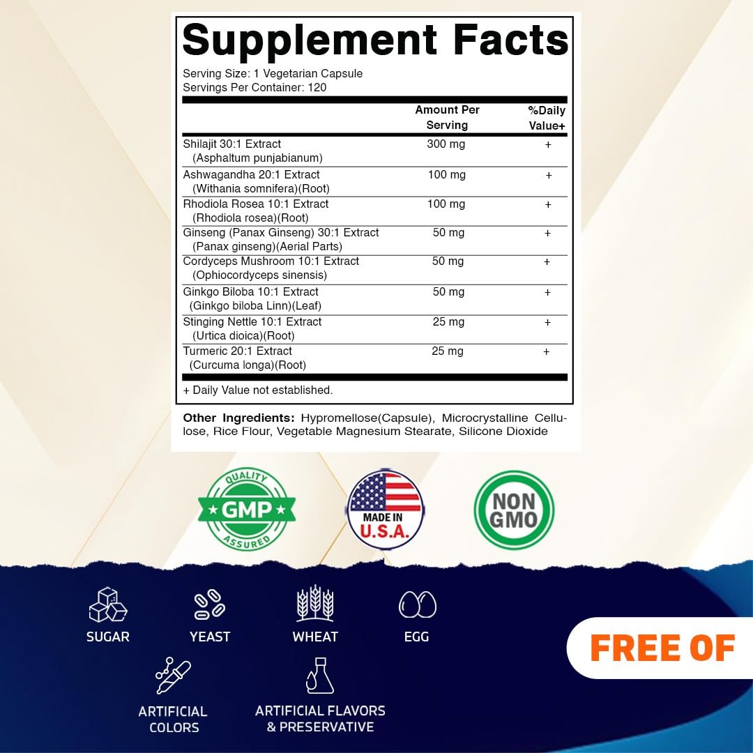Vitamatic Shilajit Complex Capsule 120 Count