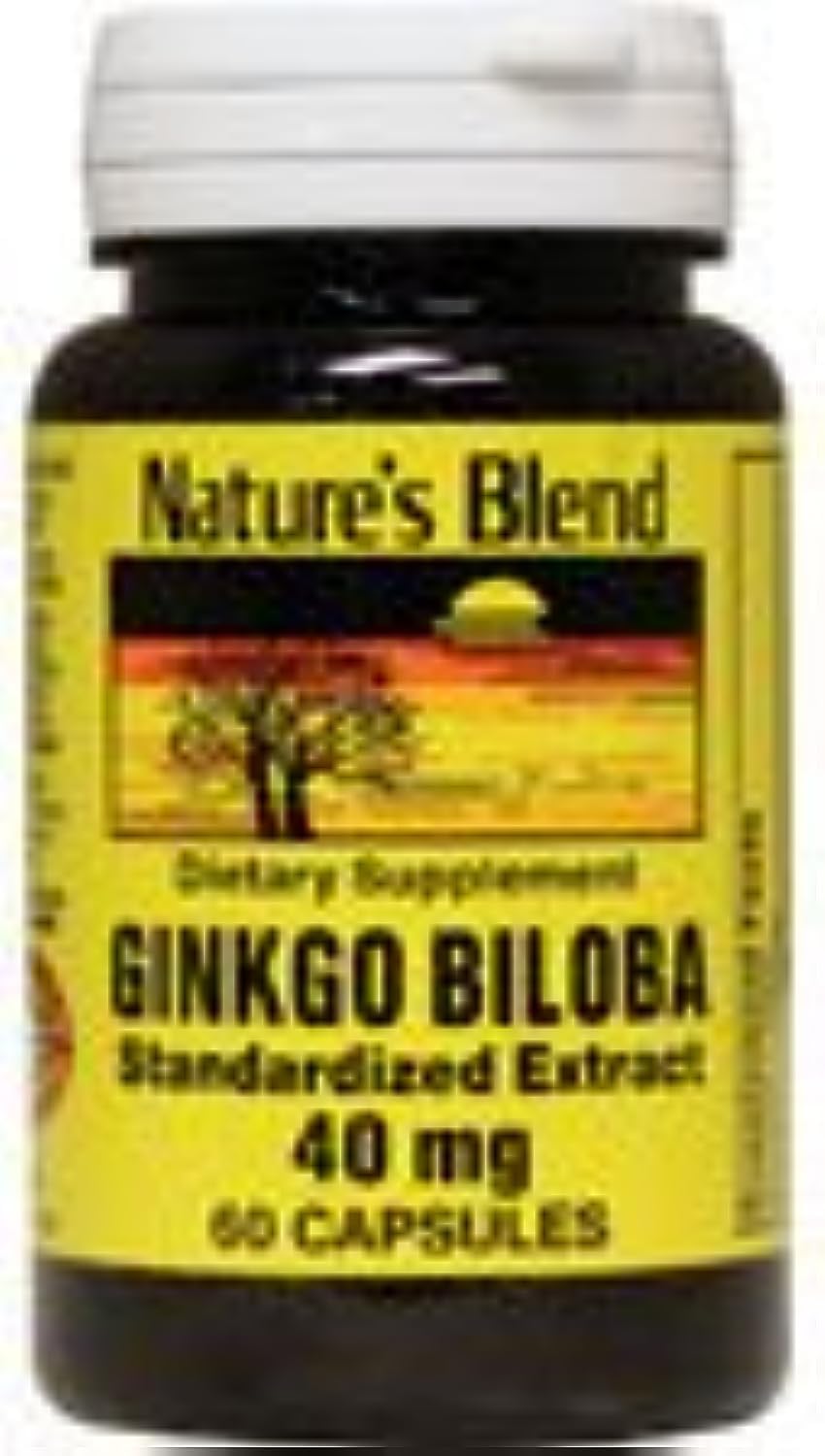 Nature's Blend Ginkgo Biloba 40 mg 60 Capsules