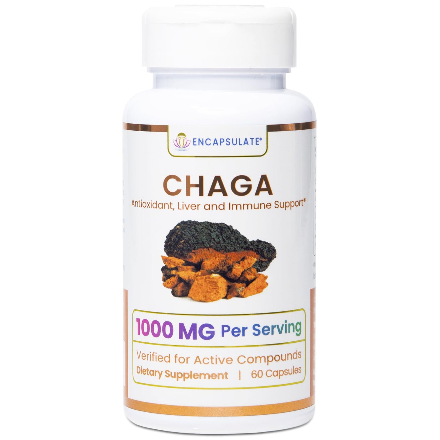 ENCAPSULATE Chaga Capsules 1000mg – Premium Organic Fruiting Body 1:1 Mushroom Extract – Adaptogen Mushroom Supplement for Antioxidant, Digestive, Oxidative Stress & Immune Support – Vegan – 60 Capsules