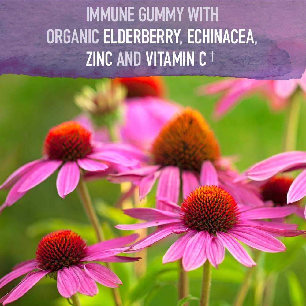 Garden of Life Organics Elderberry Gummies 120 Gummies