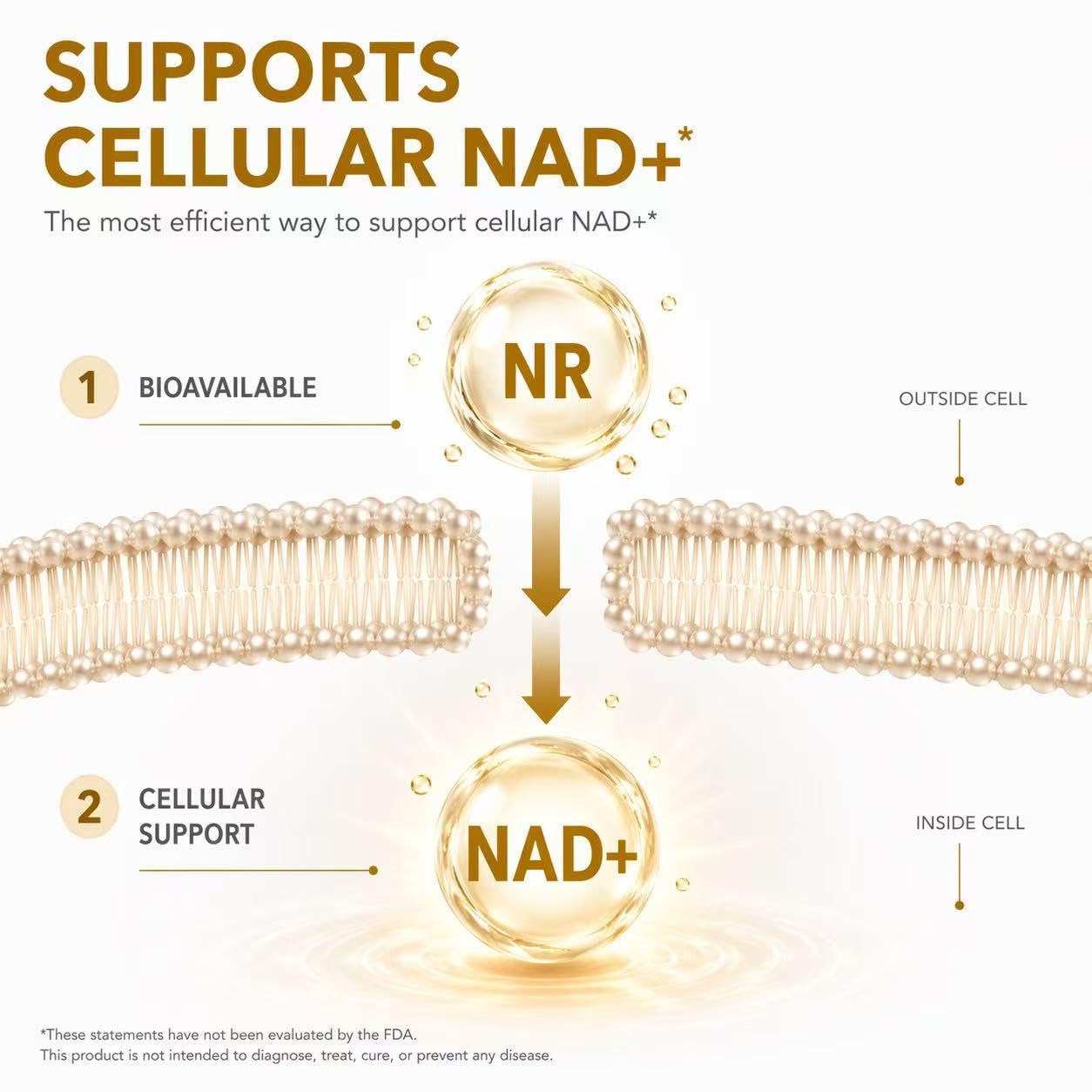 GenBench NAD+ Supplement Capsule 60 Count