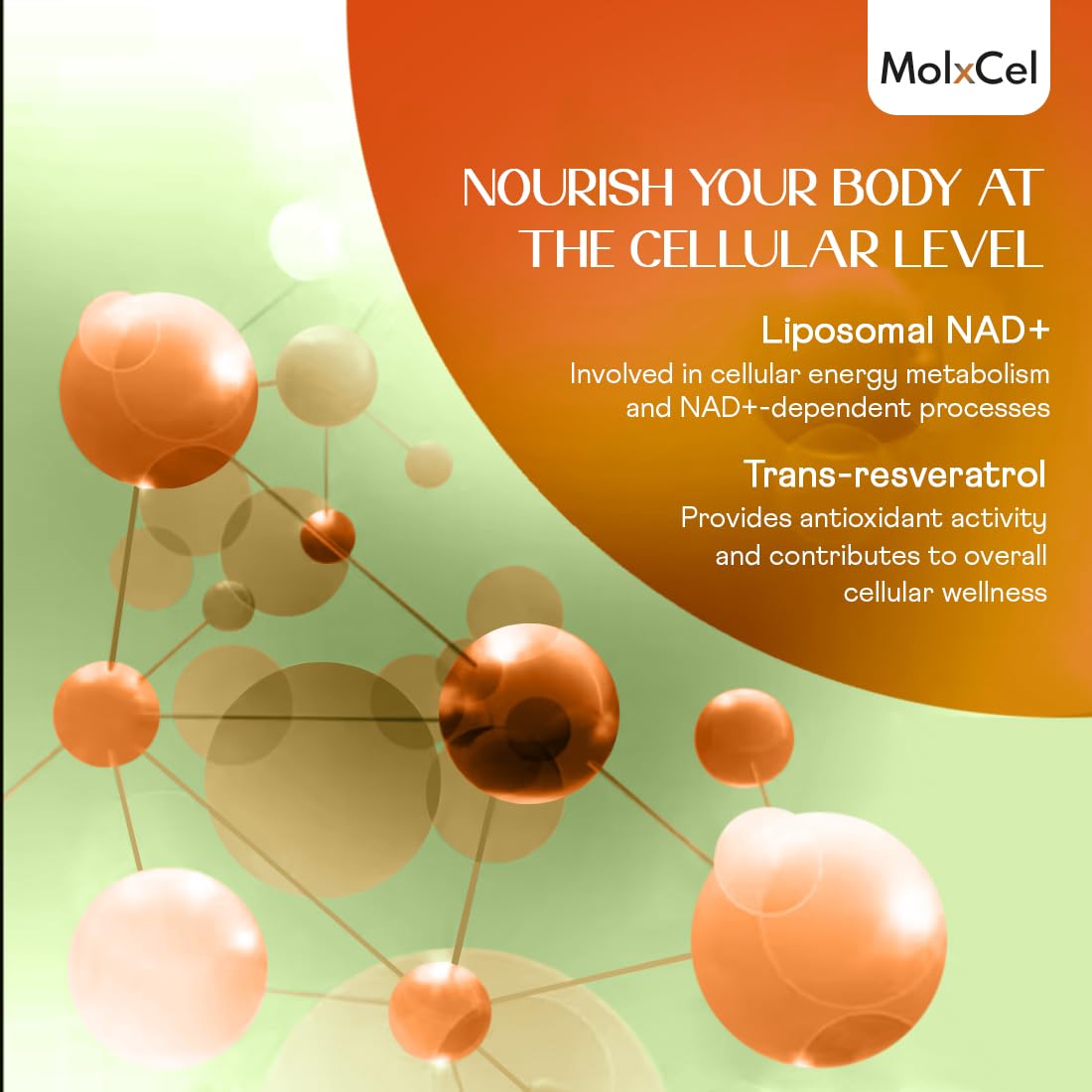MolxCel Liposomal NAD Supplement with Resveratrol 60 Capsules