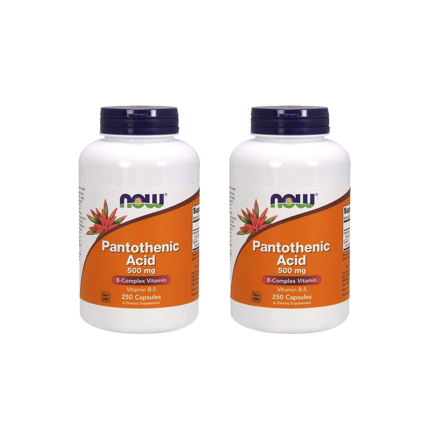 NOW Foods Pantothenic Acid 500 mg Capsule, 250 Count (Pack of 2)