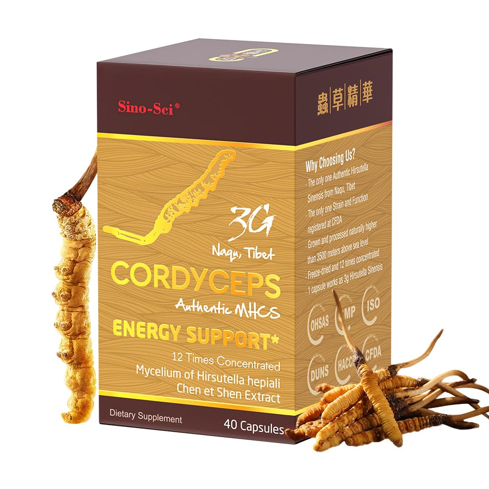Sino-Sci Cordyceps 3G Capsule, Energy Booster & Immune Support, Pure Cordyceps 12X Extract, 40 Capsules