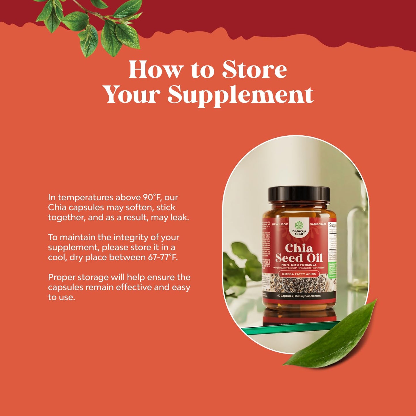 Natures Craft Chia Seed Oil Extract, Omega-3-6-9 Supplement, 120 Capsules