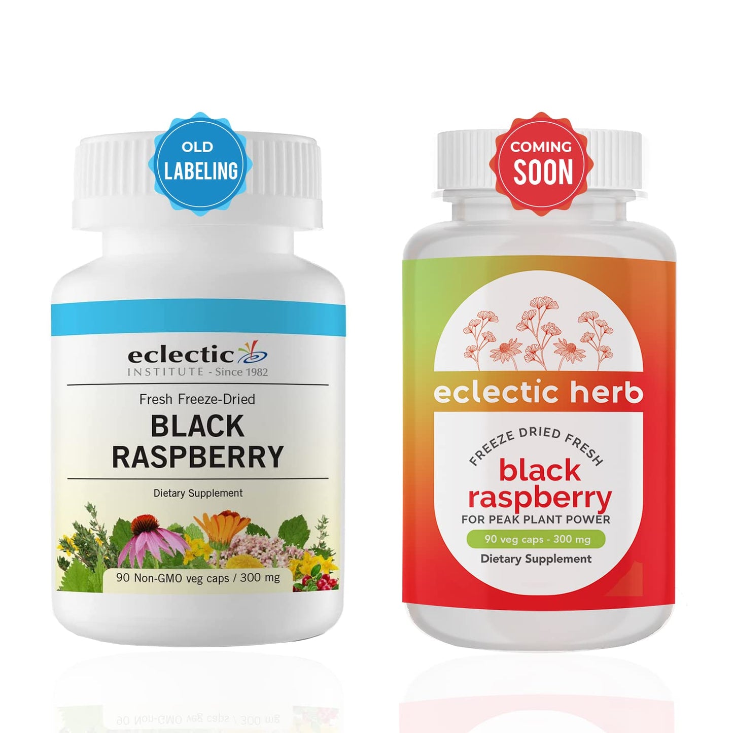ECLECTIC INSTITUTE Black Raspberry Fdv Capsule 90 Count