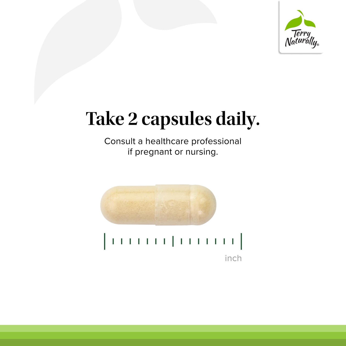Terry Naturally Healthy Cholesterol with Amla Capsule, 60 Count