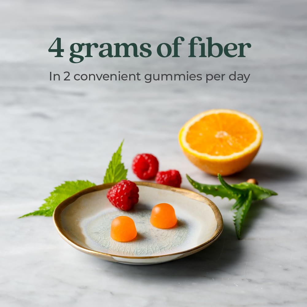 New Chapter Organic Fiber Gummies for Kids Gummy, 60 ct