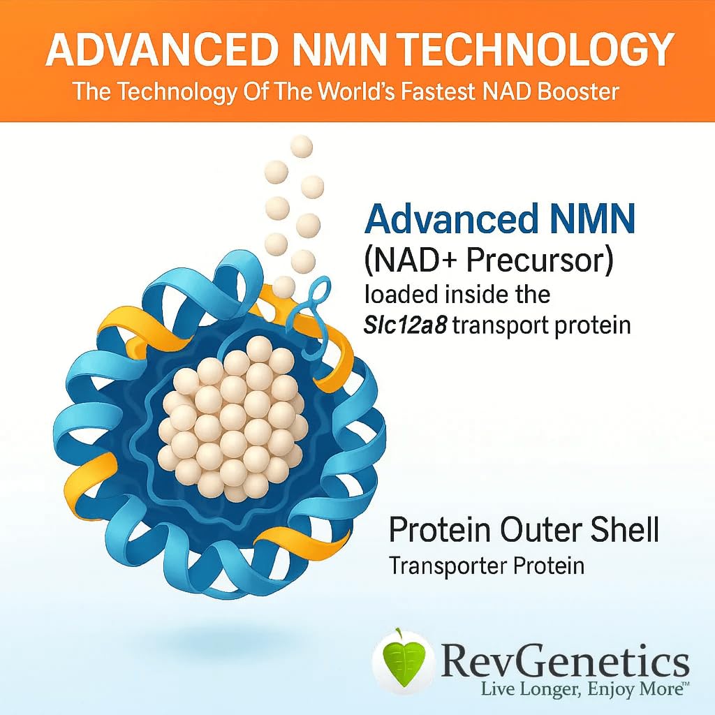 REVGENETICS NMN 1000mg Nicotinamide Mononucleotide Supplement Capsule 60 Count