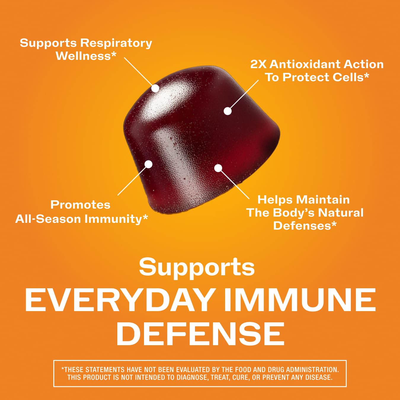 Vimergy NutriDense Elderberry + Zinc Berrylicious Immunity Chewables and NutriDense Fruitylicious Turmeric + Ginger Chewables, 120 Chewables
