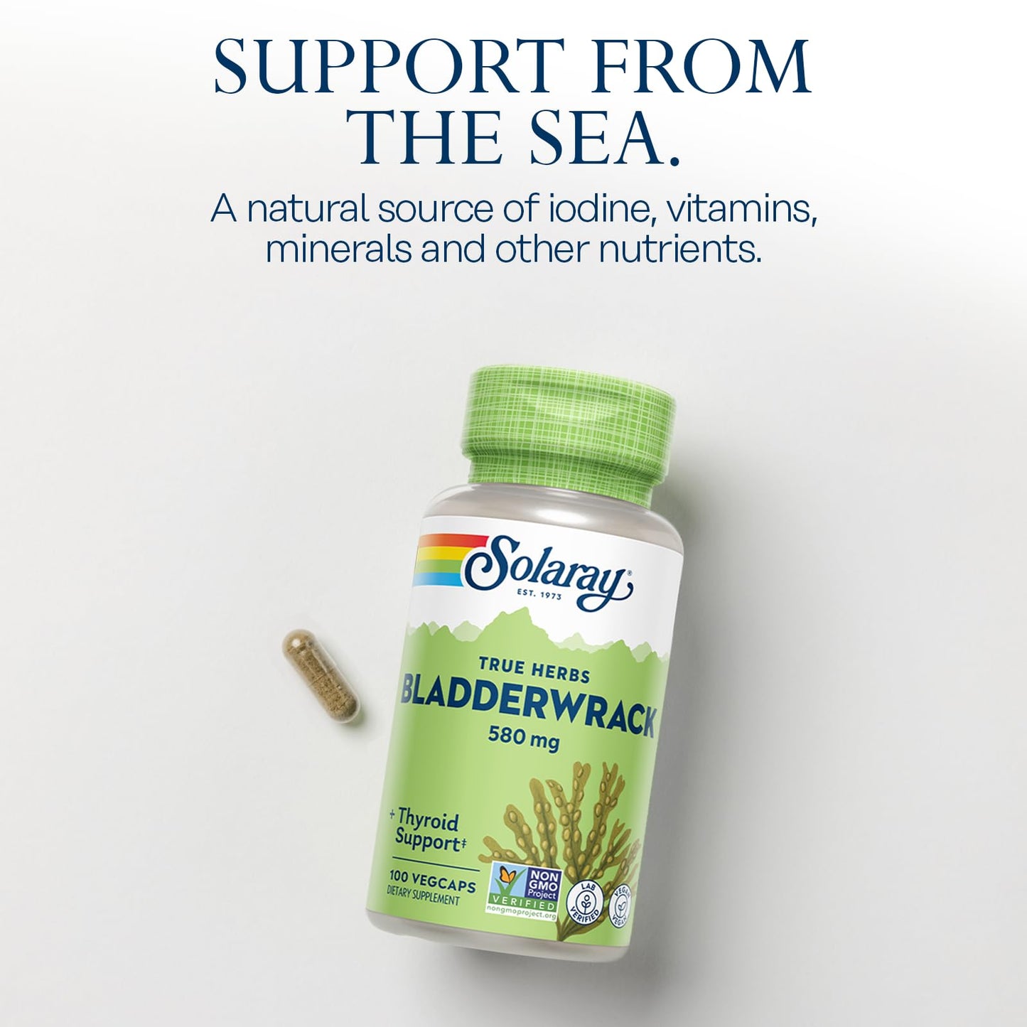 Solaray Bladderwrack 580 mg Capsules, 100 Count