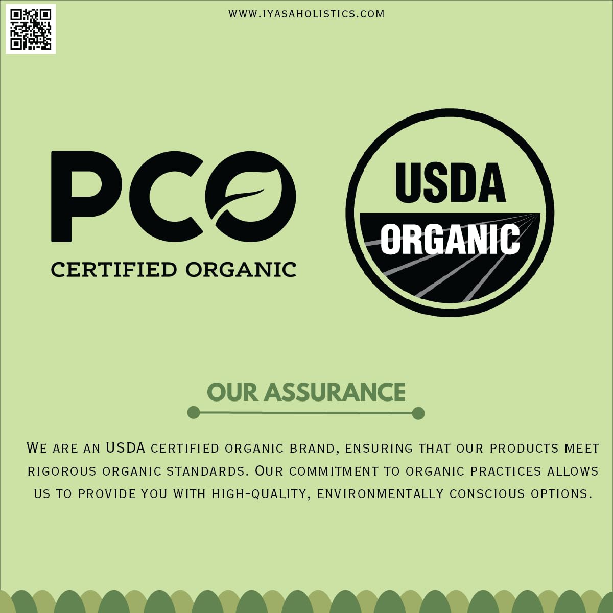 Iyasa Holistics Organic Chamomile Flowers Powder 8