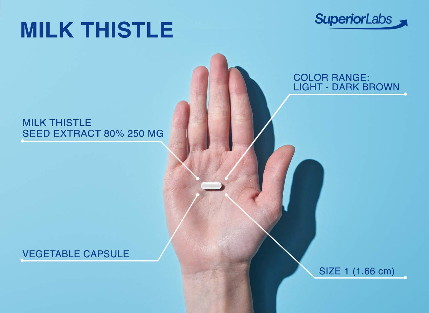 Superior Labs Milk Thistle Non-GMO 80% Silymarin 250mg 4:1 Extract Capsules 120 Count